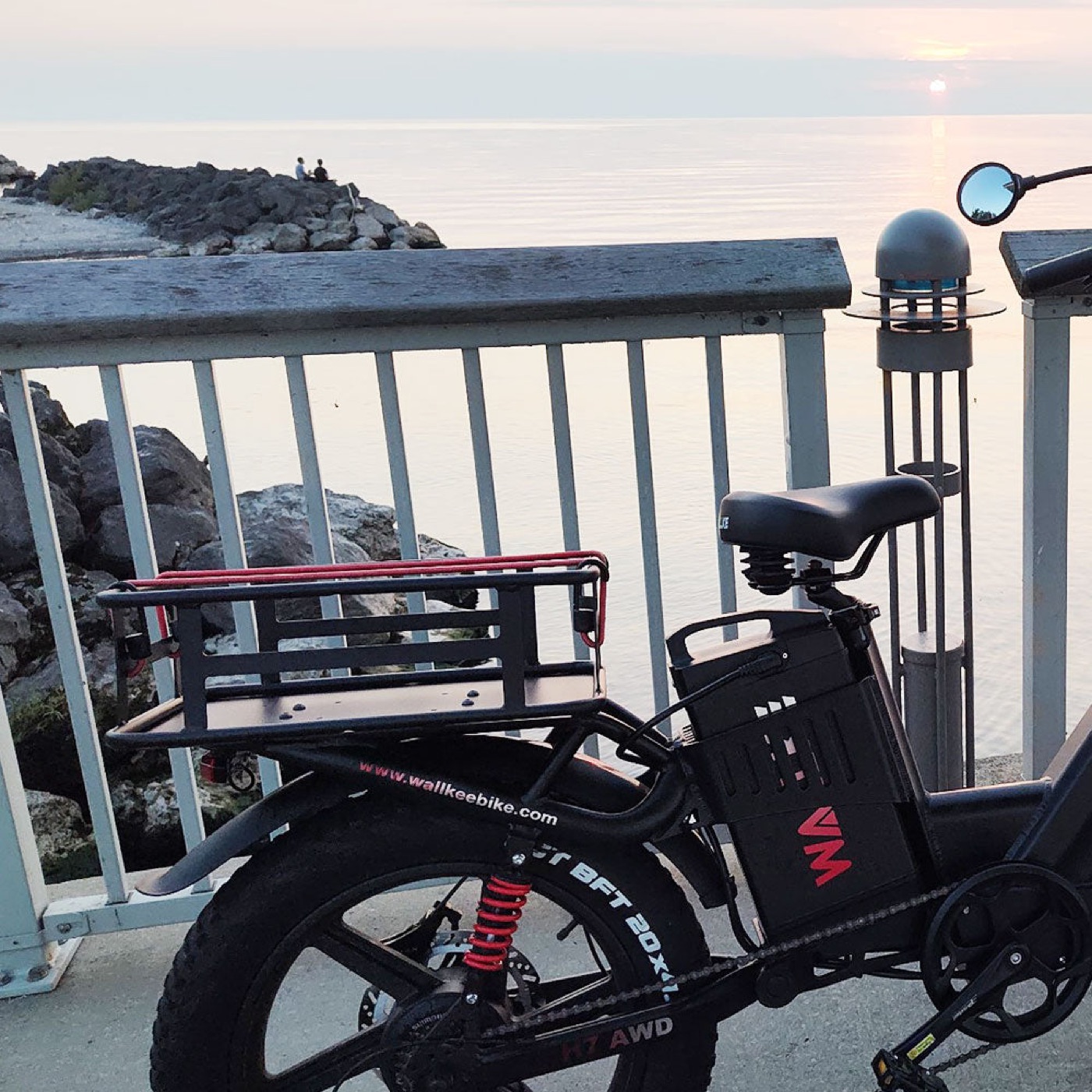 Wallke Rear Basket