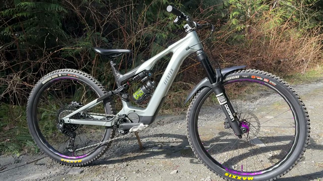Carbon front triangle, alloy rear, 29in wheels
