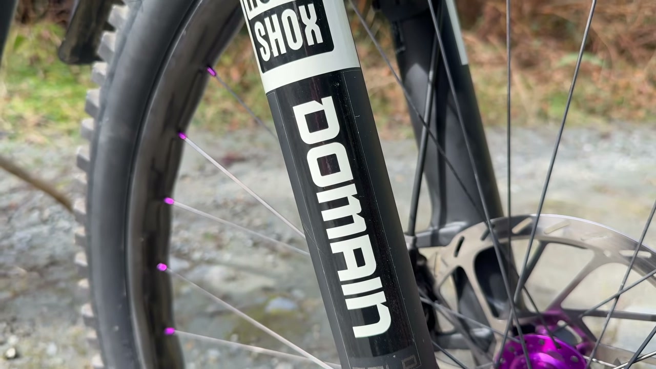 The 160 mm Domain I swapped in for BC steeps