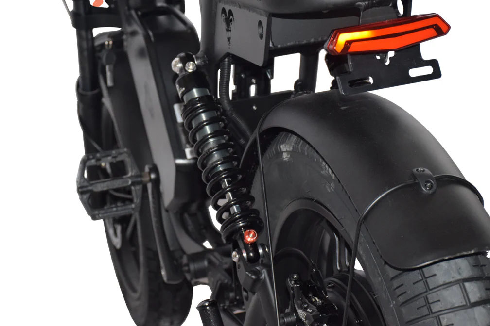 Rear fender, tail light and signals