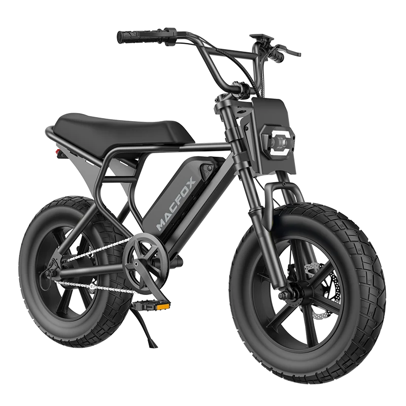 16″ Fat-Tire Mini Frame