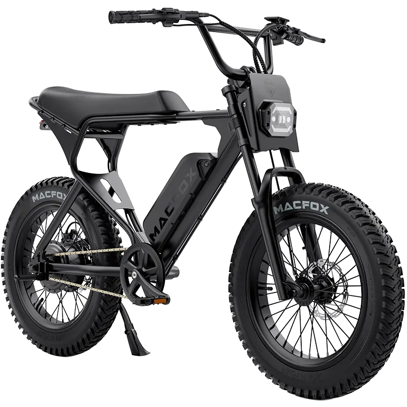 20″ Fat-Tire Frame