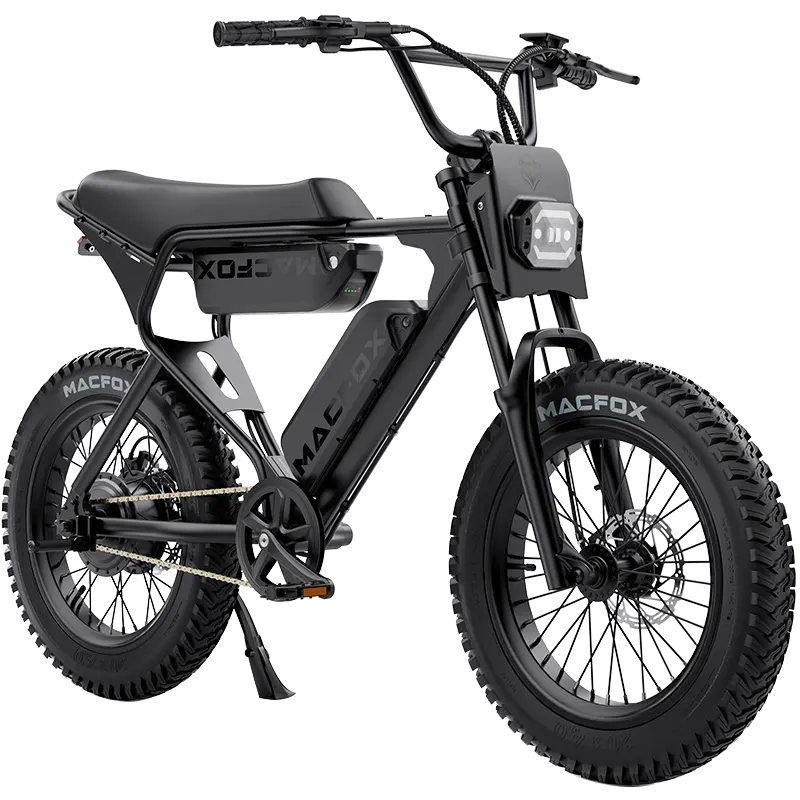 Single or Dual Battery