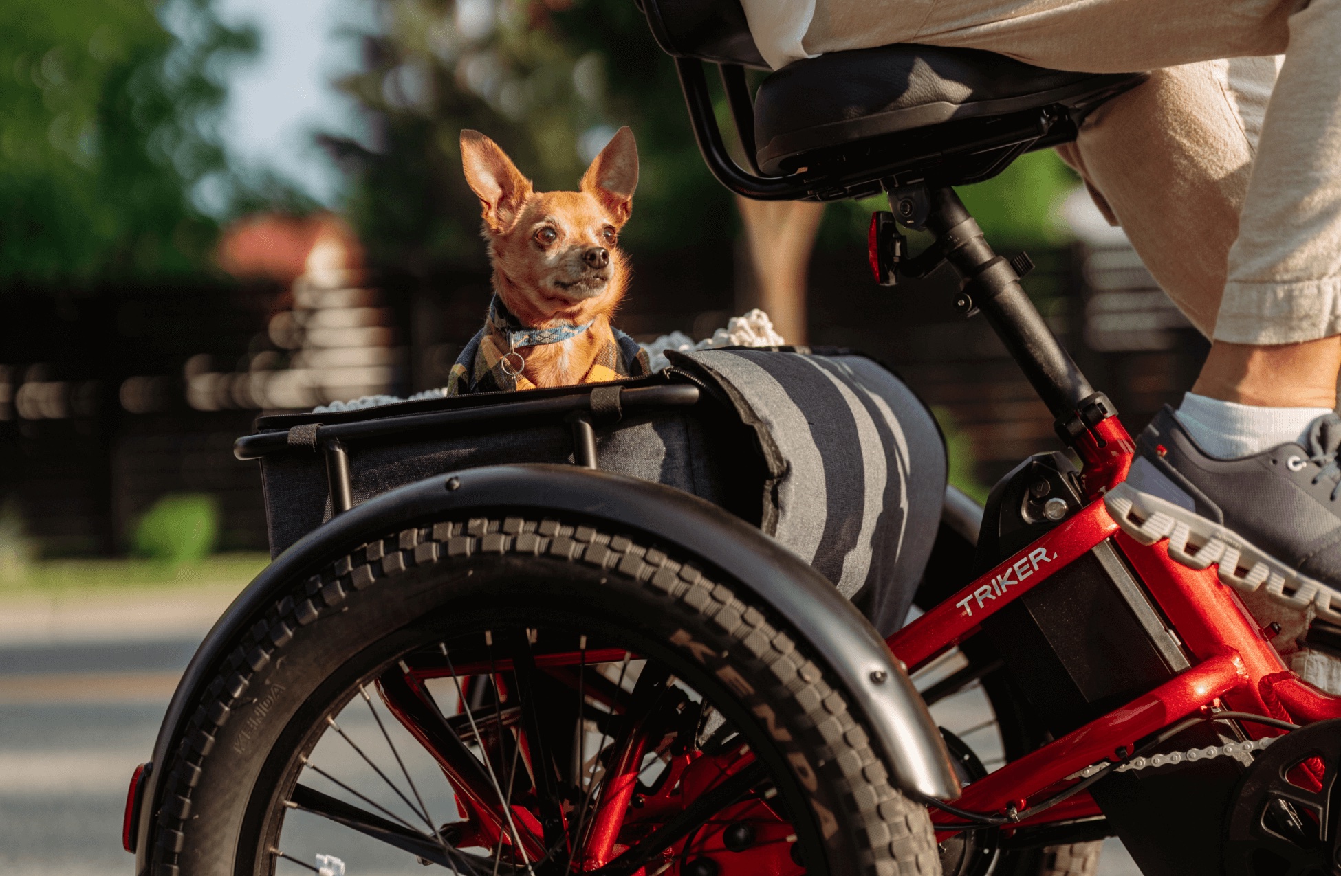 Velotric Triker