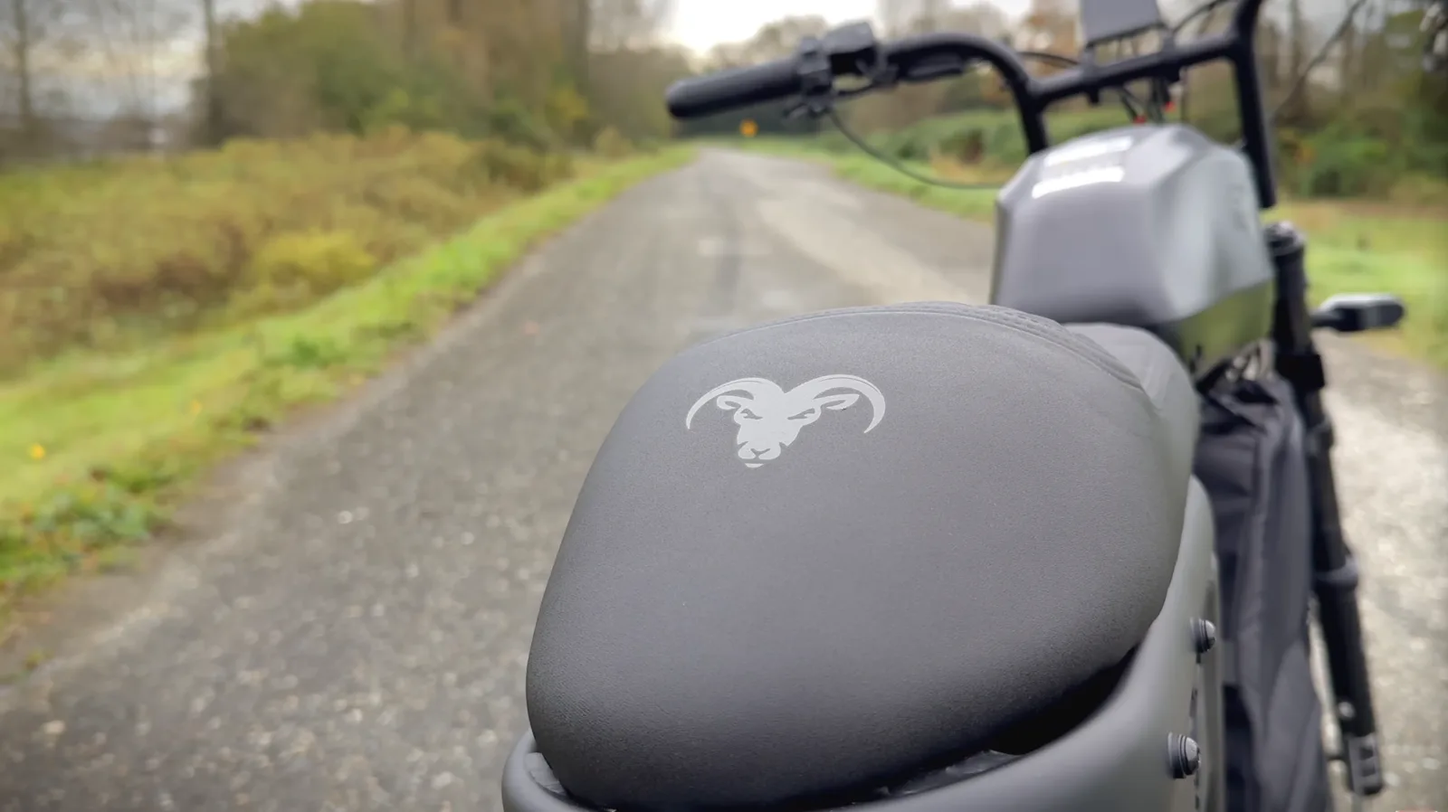 Ram-head saddle detail
