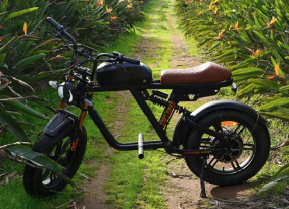 Motor Goat SL with pegs, Original Gradient