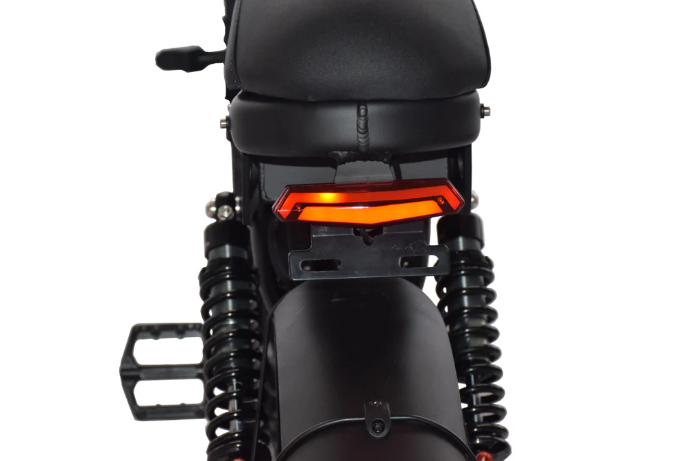 Power Goat V3 dual rear coil shocks and LED tail light